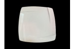 WP1030 SHARE PLATE 6.5"